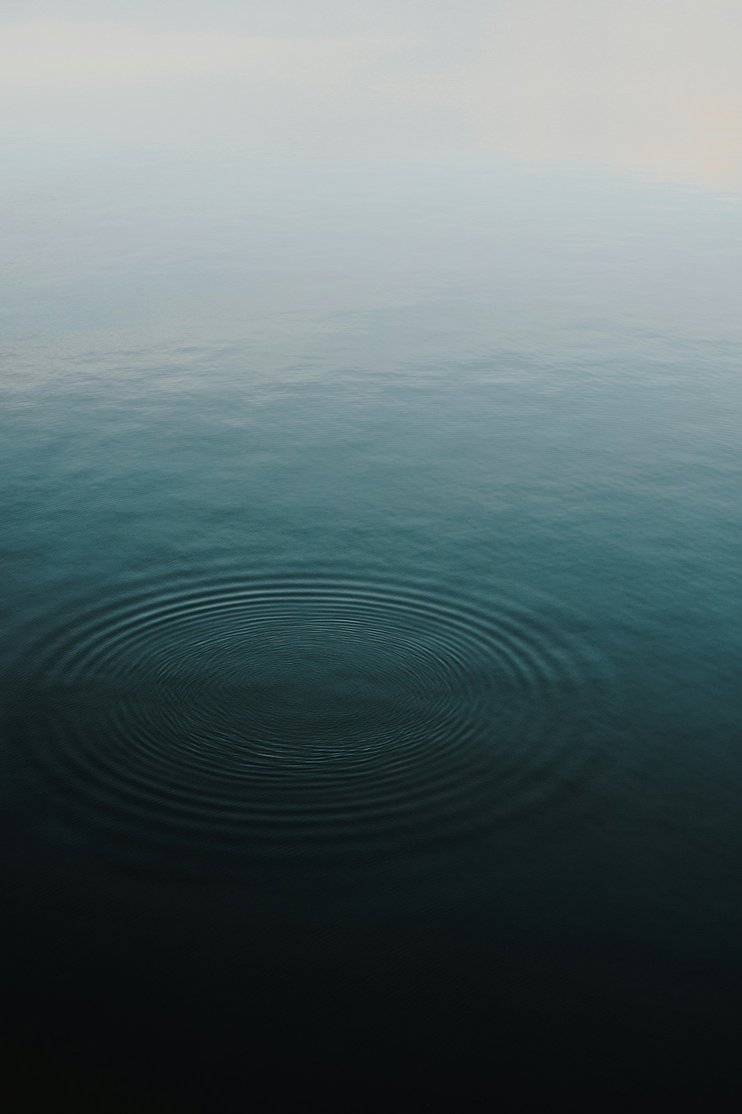 Ondes circulaires à la surface d’une eau calme