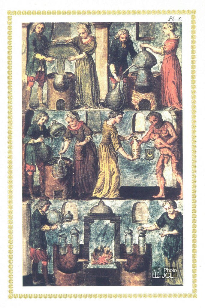 Mutus Liber — planche 5