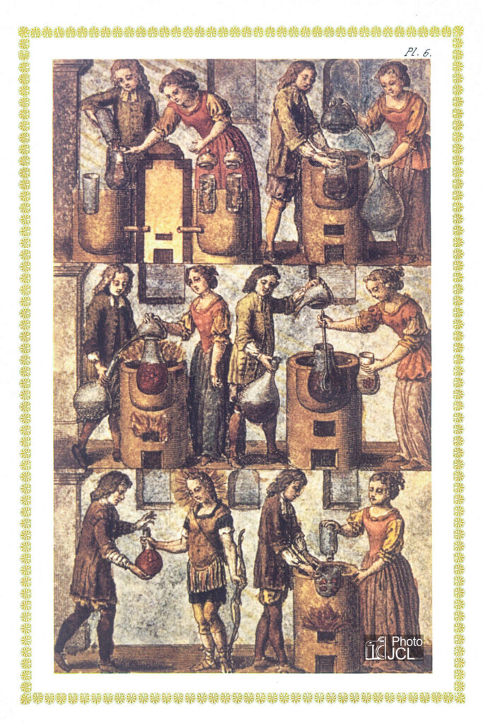 Mutus Liber — planche 6