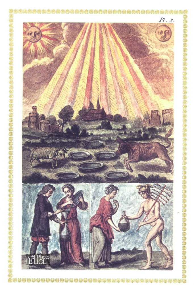 Mutus Liber — planche 9